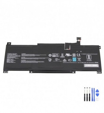 MSI-BTY-M491-53.8Wh